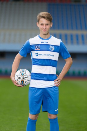 Bechyně Štěpán